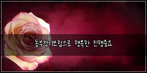 동부정기보험으로 행복한 진행중요