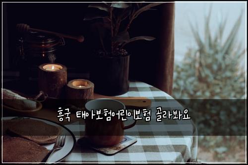 흥국 태아보험어린이보험 골라봐요