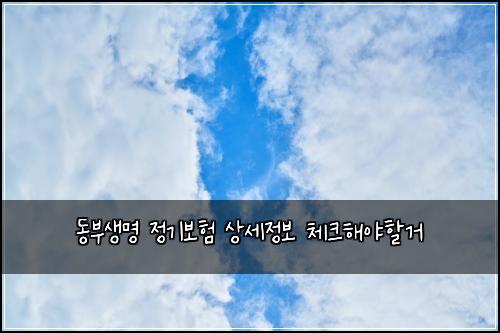 동부생명 정기보험 상세정보  체크해야할거