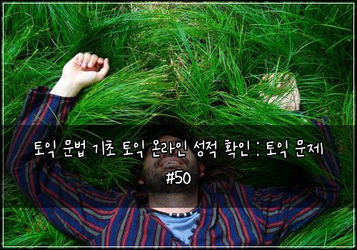 토익 문법 기초 토익 온라인 성적 확인 : 토익 문제 #50