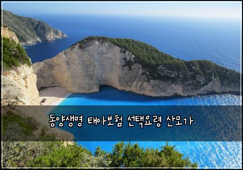 동양생명 태아보험 선택요령  산모가