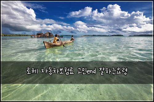 로체 자동차보험료 고민end 잘하는요령