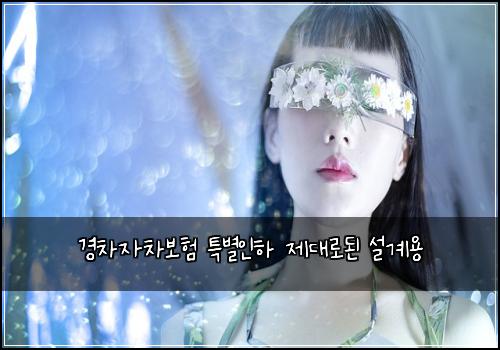경차자차보험 특별인하  제대로된 설계용