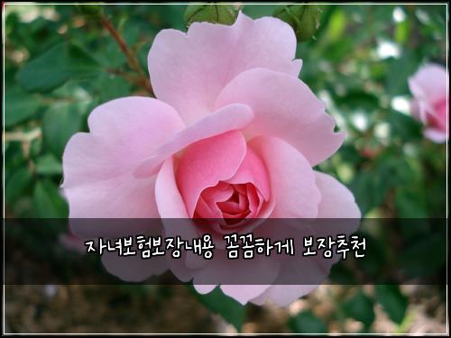 ์๋
๋ณดํ๋ณด์ฅ๋ด์ฉ ๊ผผ๊ผผํ๊ฒ ๋ณด์ฅ์ถ์ฒ
