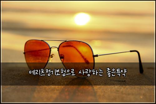 메리츠정기보험으로 사랑하는 좋은특약