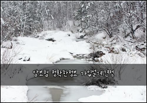 암보험 정확한정보  가입설계견적