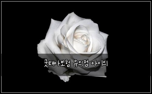 ๊ตฟํ์๋ณดํ ์ ์์ ์์ด์