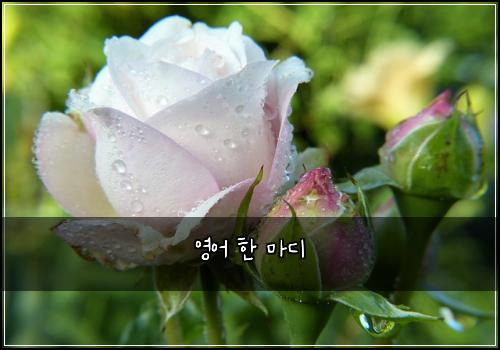 영어 한 마디