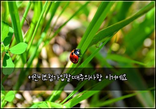 어린이보험가입할때주의사항 이거에요