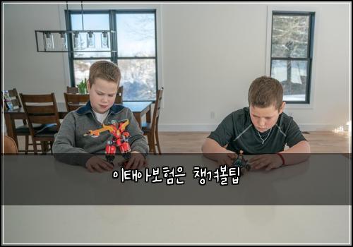 이태아보험은 챙겨볼팁