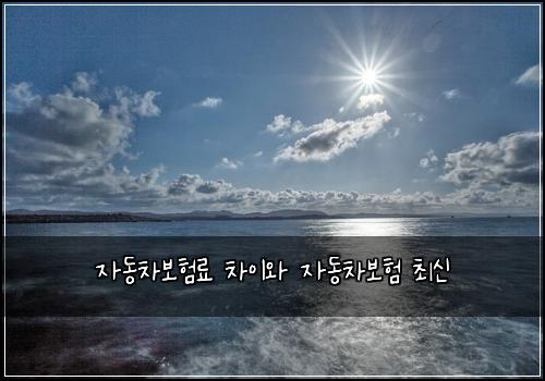 자동차보험료 차이와 자동차보험 최신