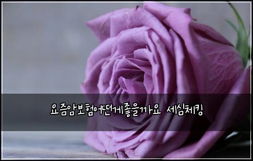 ์์ฆ์๋ณดํ์ด๋ค๊ฒ์ข์๊น์ ์ธ์ฌ์ฒดํน