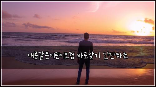 내몸같은어린이보험 바로알기  간단하죠