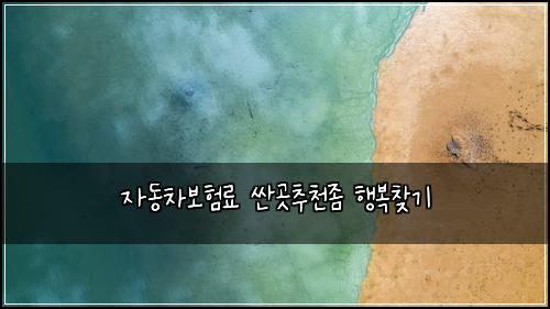 자동차보험료 싼곳추천좀 행복찾기