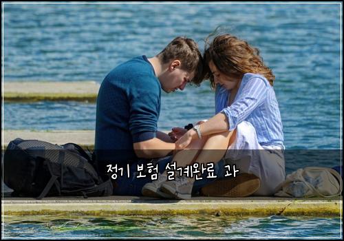 정기 보험 설계완료  과