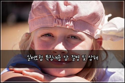 ์ค๋ฒ๋ณดํ ํน์ง๋ด์ฉ ์ ์ง๋ณ ๋ฐ ์ํด