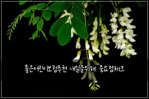 좋은어린이보험추천 내일을위해 중요점체크