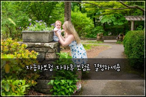 자동차보험 자차후 보험료 결정하세용