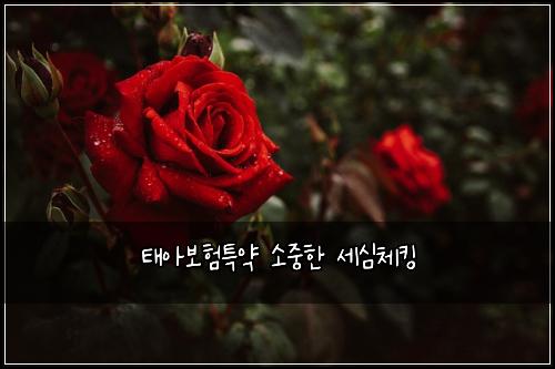ํ์๋ณดํํน์ฝ ์์คํ ์ธ์ฌ์ฒดํน