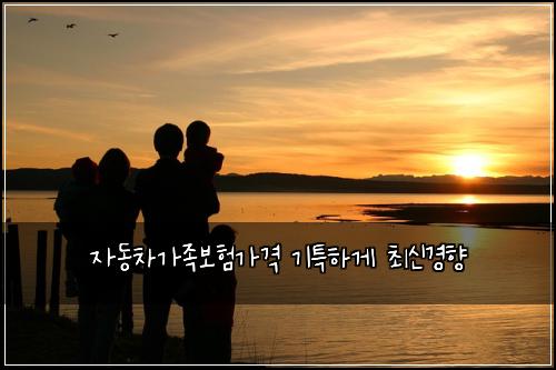 자동차가족보험가격 기특하게 최신경향