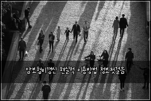 암보험비갱신 현실적 이용방법 정보첫걸음