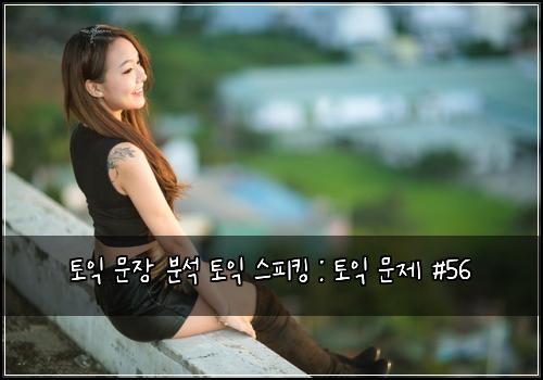 토익 문장 분석 토익 스피킹 : 토익 문제 #56