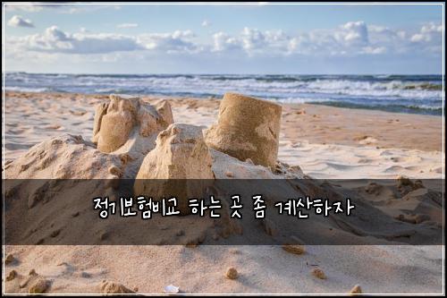 정기보험비교 하는 곳 좀 계산하자