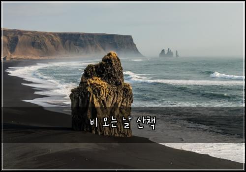 비 오는 날 산책