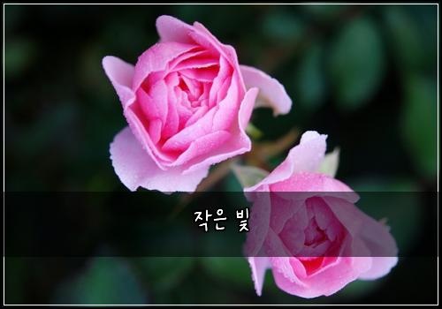 작은 빛