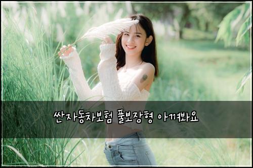 ์ผ์๋์ฐจ๋ณดํ ํ๋ณด์ฅํ ์๊ปด๋ด์