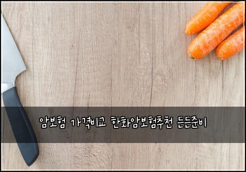 암보험 가격비교 한화암보험추천 든든준비