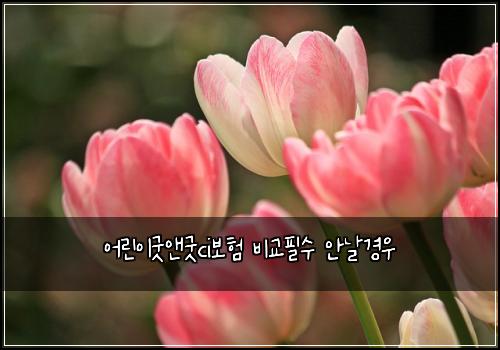 어린이굿앤굿ci보험 비교필수  안날경우