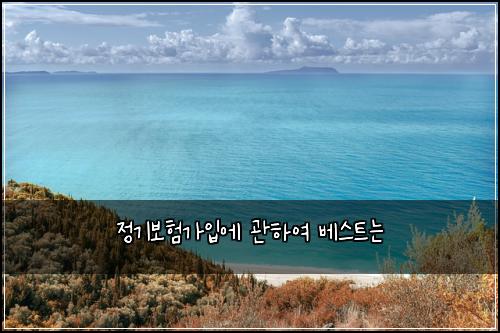정기보험가입에 관하여 베스트는