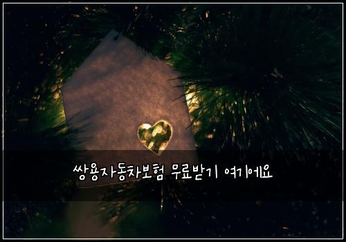 쌍용자동차보험 무료받기  여기에요
