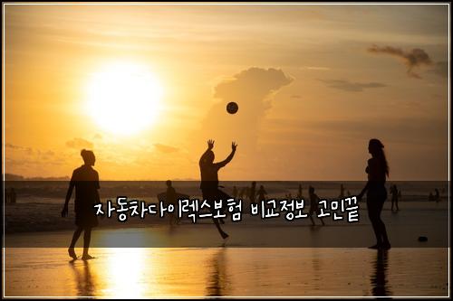 ์๋์ฐจ๋ค์ด๋ ์ค๋ณดํ ๋น๊ต์ ๋ณด ๊ณ ๋ฏผ๋