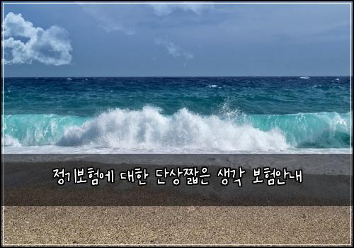 정기보험에 대한 단상짧은 생각 보험안내