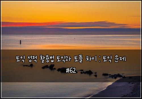 토익 성적 활용법 토익과 토플 차이 : 토익 문제 #62