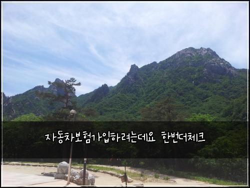 자동차보험가입하려는데요 한번더체크