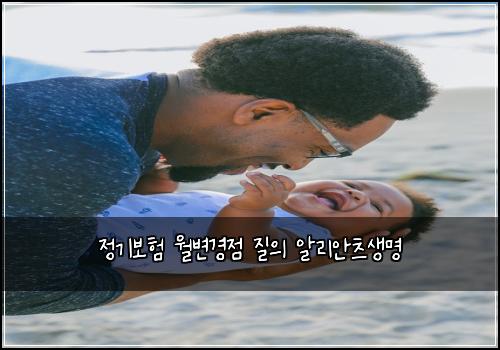 정기보험 월변경점  질의 알리안츠생명