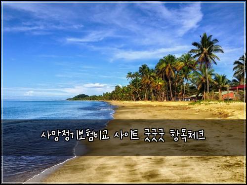 사망정기보험비교 사이트 굿굿굿 항목체크