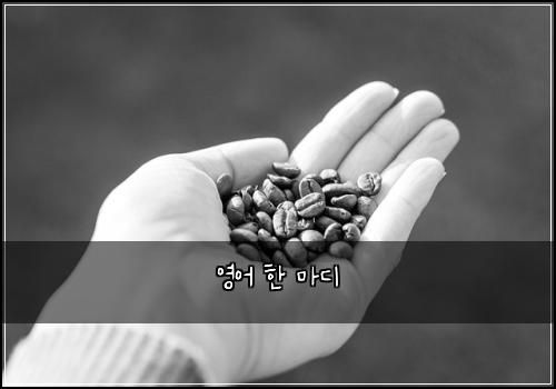 영어 한 마디