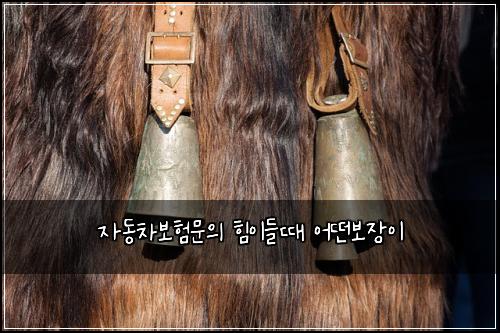 자동차보험문의 힘이들때 어떤보장이