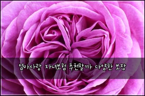 엄마사랑 자녀보험 추천할까  다양한 보장