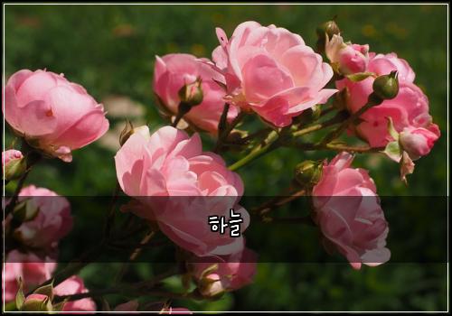하늘