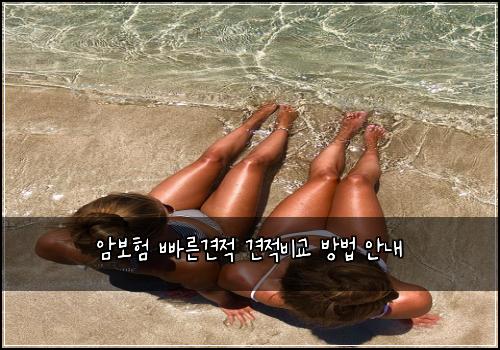 암보험 빠른견적  견적비교 방법 안내