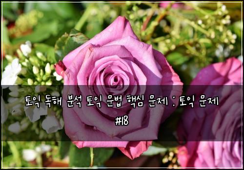 토익 독해 분석 토익 문법 핵심 문제 : 토익 문제 #18