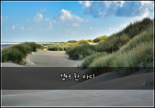 영어 한 마디