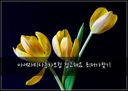 마세라티자동차보험 참고해요  최저가찾기