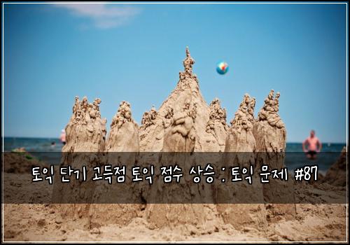 토익 단기 고득점 토익 점수 상승 : 토익 문제 #87