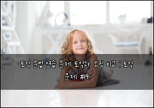 토익 문법 연습 문제 토익과 오픽 비교 : 토익 문제 #14